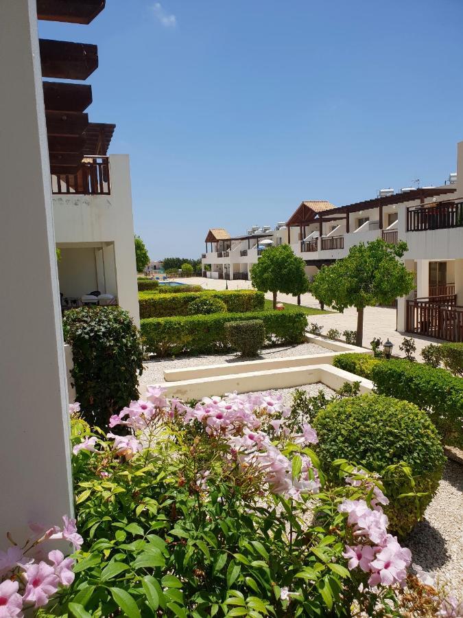 Ground Floor One Bedroom Apartment, Vanessa Complex Peyia Exterior photo